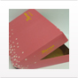 Estuches